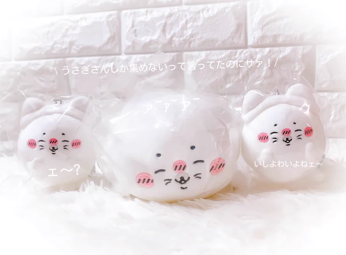 ･和歌山𝘗𝘖𝘗 𝘜𝘗 𝘚𝘛𝘖𝘙𝘌 𝘪𝘯初日◝✩

ナガノ先生の作品はどのこも皆かわいいけど
🐰グッズにしぼって集めてるのに
次は🦭ちゃんに手をだしてしまった‥ ⸝⸝⸝⸝

﹨でもでもだってだって/

ぬいぐるみくじ
🤴≠ 𝘊･𝘋賞
👸≠ 𝘋賞

ねこがお目当てだったから自引きできて
現地でくじ担当のお兄さんの前で
全力で大喜びしたのはわたしです⸝⸝⸝⸝ ꪔ̤̮♡