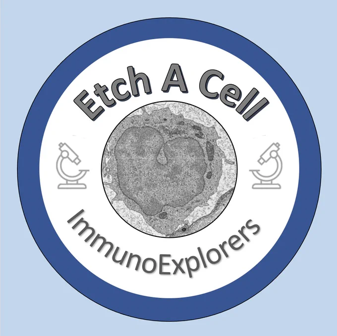 This image shows the Etch A Cell ImmunoExplorers logo. In the centre there is an image of a white blood cell