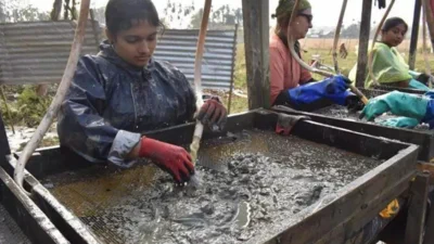 Scientists examining sediment