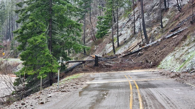 Fallen trees and debris blocking OR 138 at milepost 31 after a landslide. Photo taken on March 16.