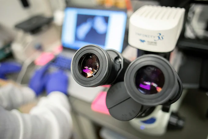 The eyepieces of a microscope in the foreground with a computer in the background.