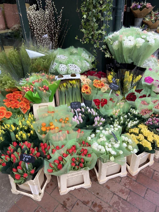 A vibrant display of many kinds of flowers outside a florist shop in Brighton (yellow daffodils and chrysanthemums, red and white tulips, orange gerbera and more). Each bunch  is in green wrapping paper and placed in pale pink buckets on the pavement.