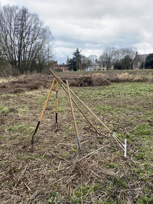 Pitchforks and rakes in a cleared area against a backdrop of retained overwintered Great Willowherb and Reed Canary Grass. Potential nesting ground for Mallard Ducks and a great Spring foraging area for insect eating birds such as Wren and Chiff Chaff.