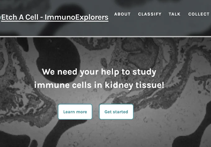 This shows the project landing page for Etch A Cell - ImmunoExplorers. It is an image of a cell and over the top is written 'We need your help to study immune cells in kidney tissue!'