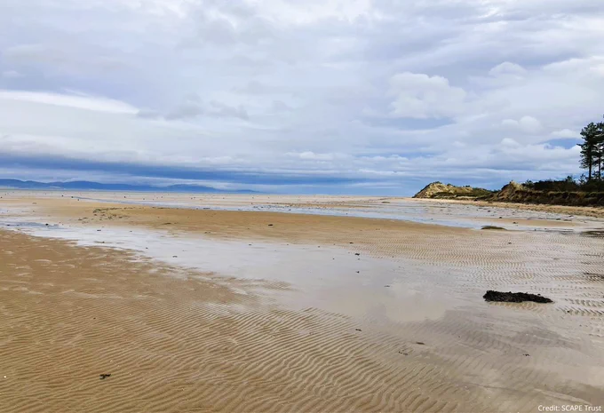 Photo of a beach with yellow sand, blue skies and some woodland on the left