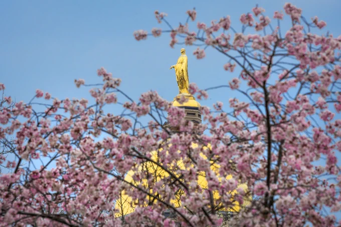 A golden statue of a woman atop a half-spherical golden Dome, surrounded by branches with light pink flowers.