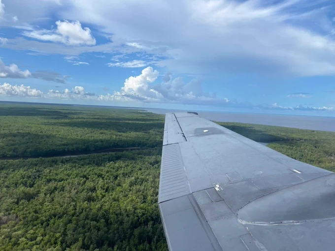 Aerial photograph of Florida mangroves. The plane wing is visible in the bottom right of the image. The mangrove trees are green and there are some areas where water is visible. The sky is blue and has puffy clouds.