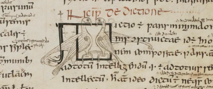 An Incipit (opening letter) with two birds from the St. Gallen manuscript Priscian Institutiones Grammaticae, Cod. Sang 904, p. 25. © Stiftsbibliothek St Gallen.
