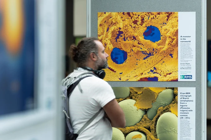 A visitor at mmc2023 is pictured looking at the Scientific Imaging Competition gallery of shortlisted images. Two brightly coloured micrographs affixed to an upright board are visible.
