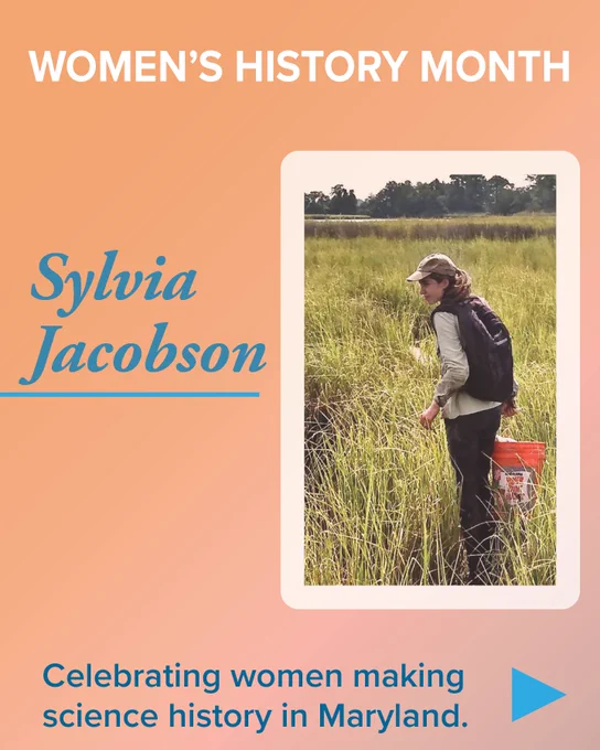 An image of Sylvia Jacobson in a wetland holding a bucket, along with the text "Women's history month. Celebrating women making science history in Maryland."