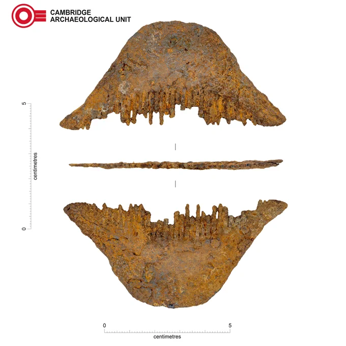 A close-up photograph showing multiple views of an iron Saxon comb against a white background. The comb has a rusty orange surface and several of its broken teeth are still visible emerging from the corroded artefact.  
