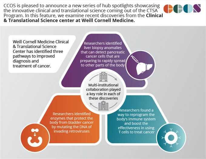 CCOS is pleased to announce a new series of hub spotlights showcasing the innovative clinical and translational science coming out of the CTSA Program. In this feature, we examine recent discoveries from the Clinical & Translational Science Center at Weill Cornell Medicine. Weill Cornell Medicine Clinical & Translational Science Center has identified 3 pathways to improved diagnosis and treatment of cancer. Researchers identified liver biopsy anomalies that can detect pancreatic cancer cells that are preparing to rapidly spread to other parts of the body. Researchers found a way to reprogram the body's immune system and boost the effectiveness in using T cells to treat cancer. Researchers identified enzymes that protect the body from bladder cancer by mutating the DNA of invading retroviruses. Multi-institutional collaboration played a key role in each of these discoveries.