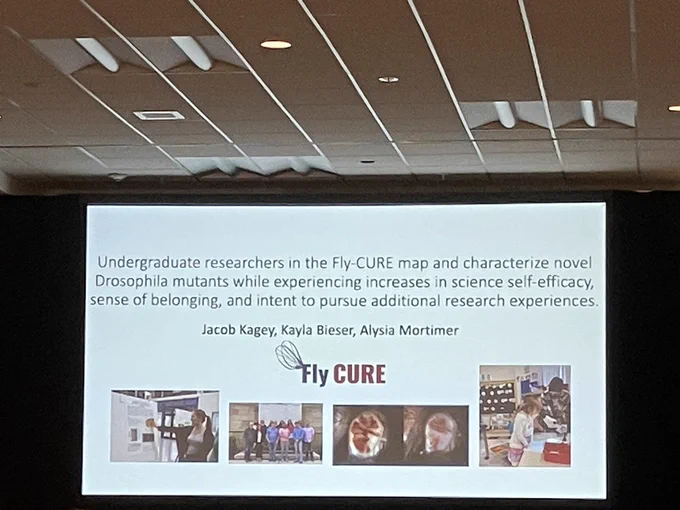Fly-CURE talk at #Dros25