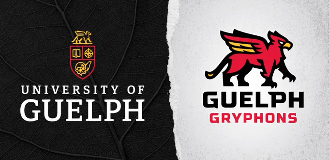 Previous and evolved University of Guelph logos side by side. The previous logo features “University of Guelph” in stylized cursive writing inside a black box. The words “Improve Life” sit on its right. The evolved University of Guelph logo has the words “University of Guelph” below a digitally drawn emblem, a gold and red shield-like symbol with four icons: on the top is a golden Gryphon, a mythical beast looking right with its front claw slightly hovering above the ground, a sharp beak and sharp lines illustrating its wings; a book with a bookmark in its middle, a compass-like symbol with gold in its centre, and a cornucopia.