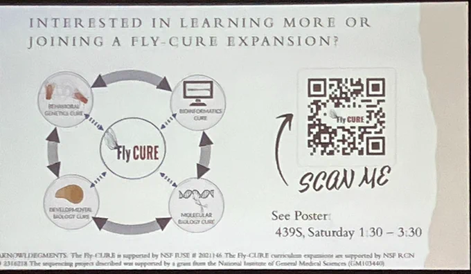 Fly-CURE QR code