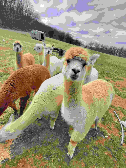 jpeg artifacts
