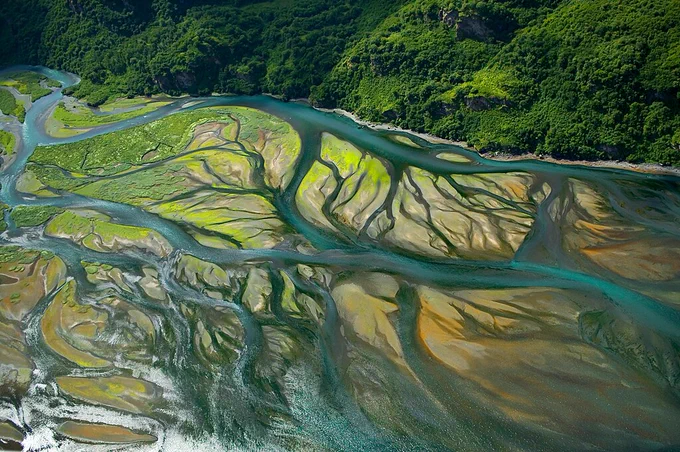 Branching river delta seen from above