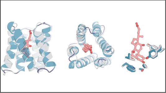 Three diagrams showing molecular structures in varying styles and levels of assembly. On the left, a complex ribbon diagram of a protein with a highlighted active site. In the center, a simplified version of the same protein with insets showing detailed interactions. On the right, a disconnected view highlighting individual components and bonds of a smaller molecule.