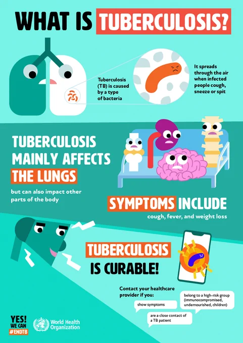 Illustrations of lungs and other organs with text that reads what is tuberculosis? TB is caused by a type of bacteria. It spreads through the air when infected people cough, sneeze or spit. TB main affets the lungs but can also impact other parts of the body. Symptoms include cough fever and weight loss. TB is curable! Contact your healthcare provider if you show symptoms, are a close contact of a TB patient, belong to a high risk group including those who are immunocompromised, undernourished and children