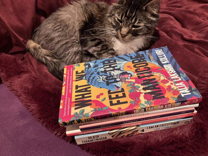Photo of a cat sitting near a stack of books