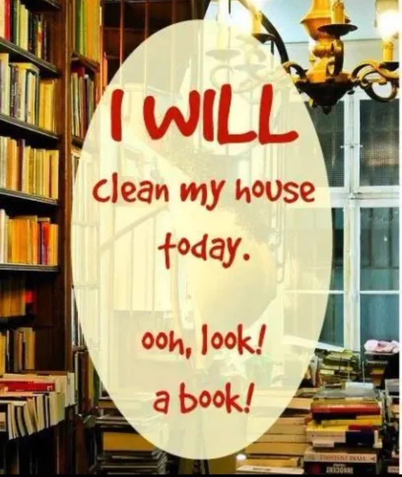 I WILL clean my house today. ooh, look!  a book!