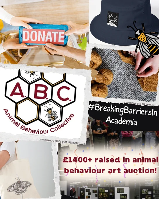 A montage of various ABC Redbubble merch, the ABC logo, and text saying £1400  raised in animal behaviour art auction