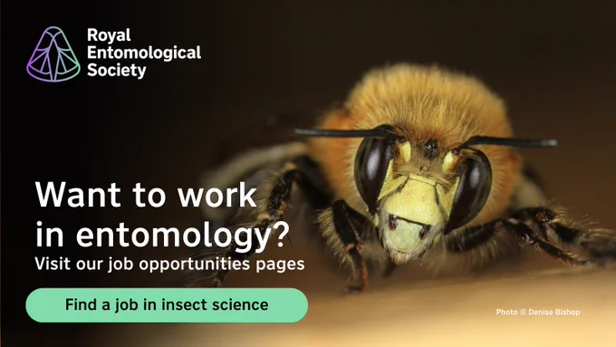 RES advertisement for jobs in entomology featuring a bee photographed on a cold but sunny early morning in April in the photographer’s back garden (c) Denise Bishop 2014