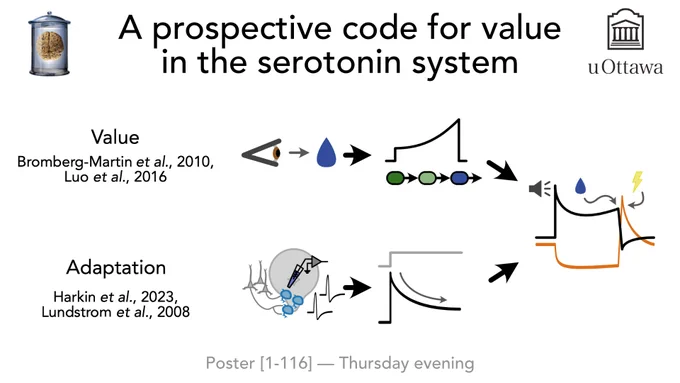 Teaser for COSYNE poster titled "A prospective code for value in the serotonin system".