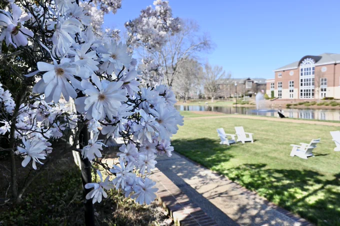 Blooming white flowers in the foreground with a background view of a scenic university campus featuring a pond and modern buildings under a clear blue sky.