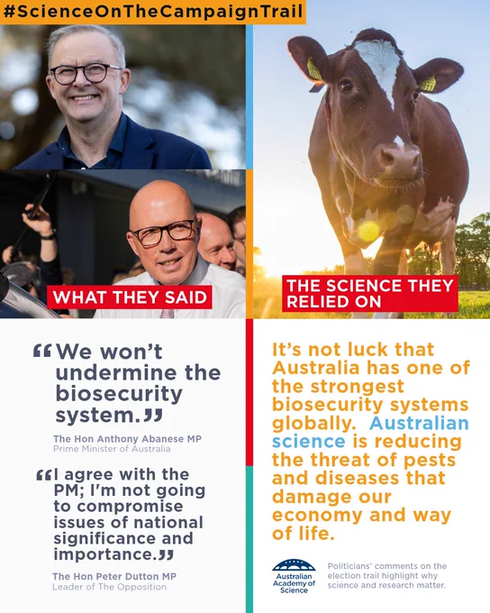 Image divided into two sections under the header #ScienceOnTheCampaignTrail. Top section features a photo of Australian Prime Minister Anthony Albanese and Opposition Leader Peter Dutton in conversation. Text quotes Albanese on security and Dutton on reliable science. Bottom section titled 'THE SCIENCE THEY RELIED ON' discusses Australian science addressing global diseases and threats, with the Australian Academy of Science logo displayed.