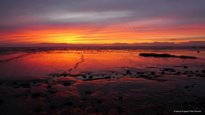 A colour image of the sun setting over the Humber Estuary copyright Peter Roworth / Natural England