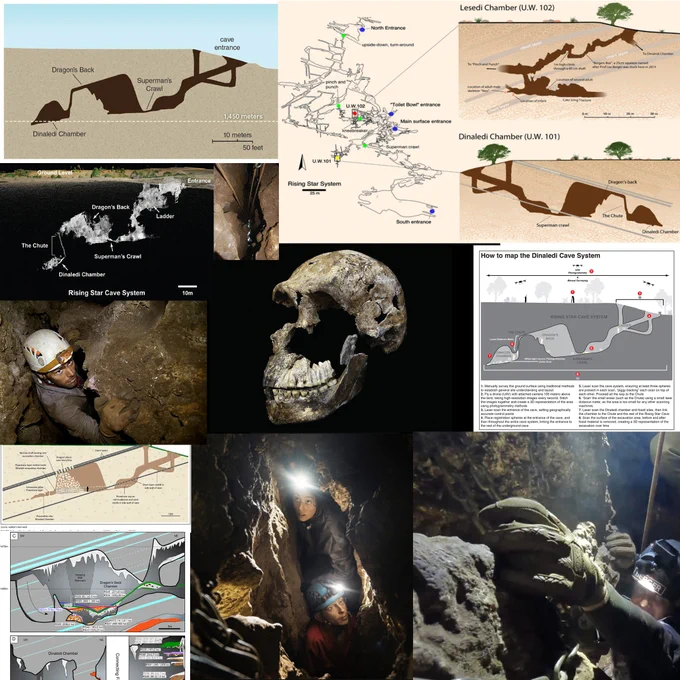 Homo naledi and previous representations of the Chute as well as images of explorers entering the tight spaces