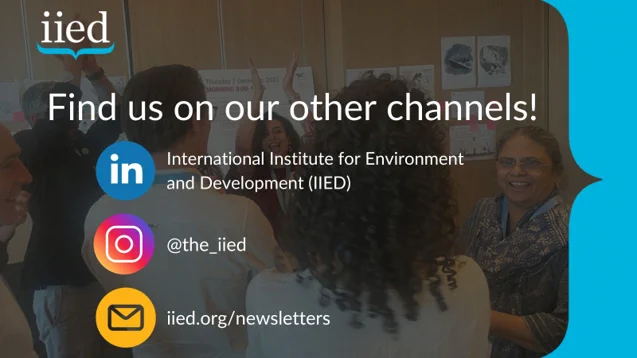 Find us on our other channels! LinkedIn, Instagram and newsletters.