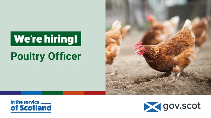 We're hiring! Poultry Officer