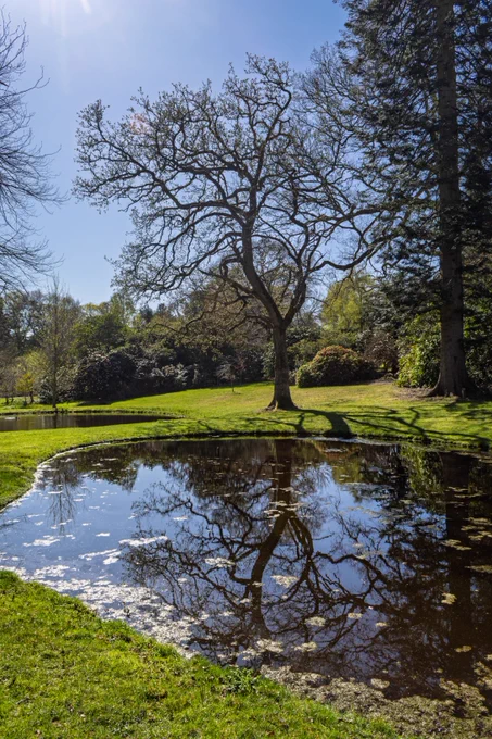 A calm spring afternoon at Exbury Gardens