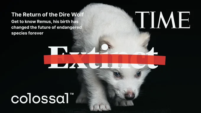 The Return of the Dire Wolf: 10,000 Years in the Making