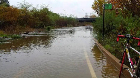 A flooded Guadalupe River Trail.