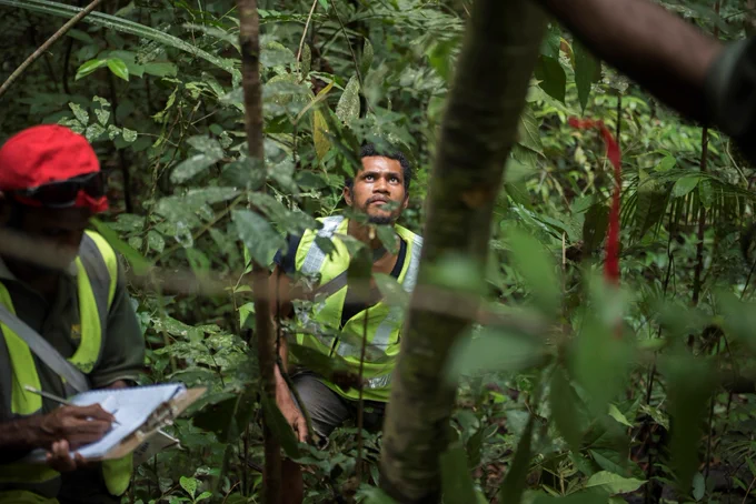 ©Cory Wright/UN-REDD Programme