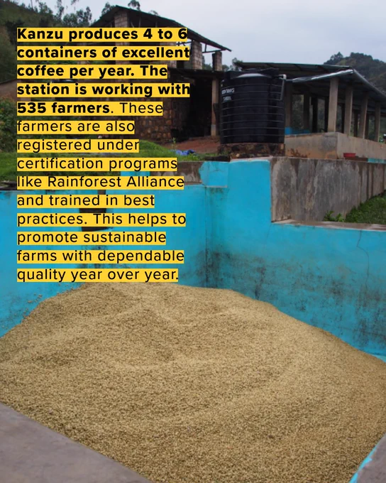 Graphic image of Rwand Kanzu coffee.