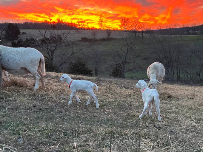 Sunrise in Missouri!
