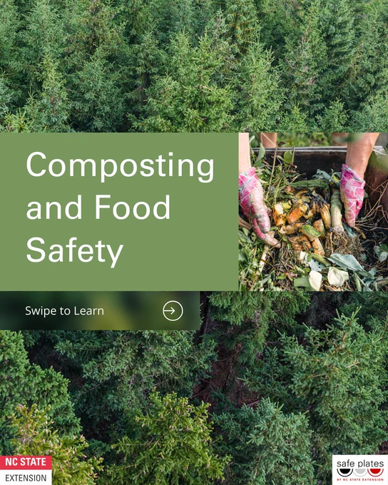 image content: 
1/5: Composting and Food Safety
2/5: Composting is an excellent way to reduce food waste and enrich soil, but it also requires proper food safety practices to prevent contamination and the spread of harmful bacteria. Here are key food safety considerations for composting:
3/5: When you compost organic materials like dairy, eggs, meat, fish and poultry they can carry harmful bacteria such as salmonella and ecoli. These pathogens can grow and spread throughout your compost and potentially contaminate your fruits and vegetables later
4/5:Animal-based products can also attract pests and insects
Best practice is to avoid including animal-based products
5/5: Composting do's and don'ts. DO: Fruit and vegetable scraps
Eggshells, Tea bags (without plastic), Coffee grounds and filters, Yard waste (grass clippings, leaves). DON'T: Meat, poultry, fish (raw or cooked), Pet waste (may contain pathogens), Dairy products (cheese, milk, yogurt, butter), Moldy or spoiled food waste