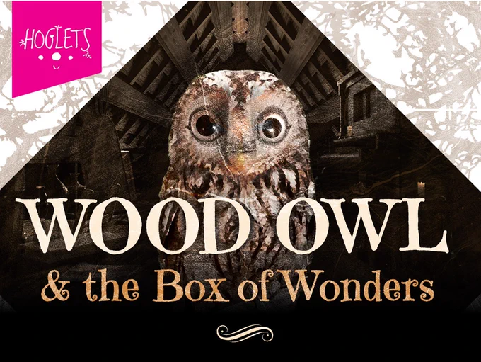 Hoglets Theatre  Wood Owl and the Box of Wonders