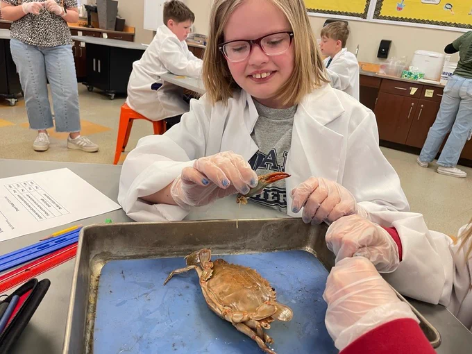 This student explores a claw
