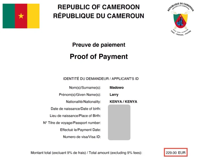 Screenshot of Larry Madowo’s Cameroonian visa confirmation. It features the flag of Cameroon and text in English and French. At the bottom right, it shows how much he paid for the visa: 229 euros