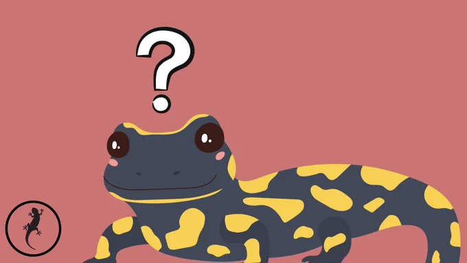 A curious salamander has a big white question mark above their head in this simple graphic with a pink background. In the bottom left is a logo - a black ring with a salamander in silhouette clambering upwards.