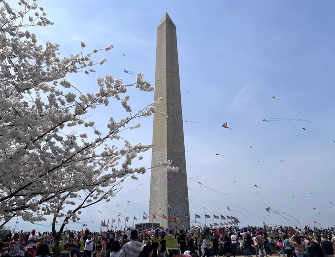 Large crowds of people on the grassy lawns around the Washington Monument with dozens of colorful kites flying in the air above.