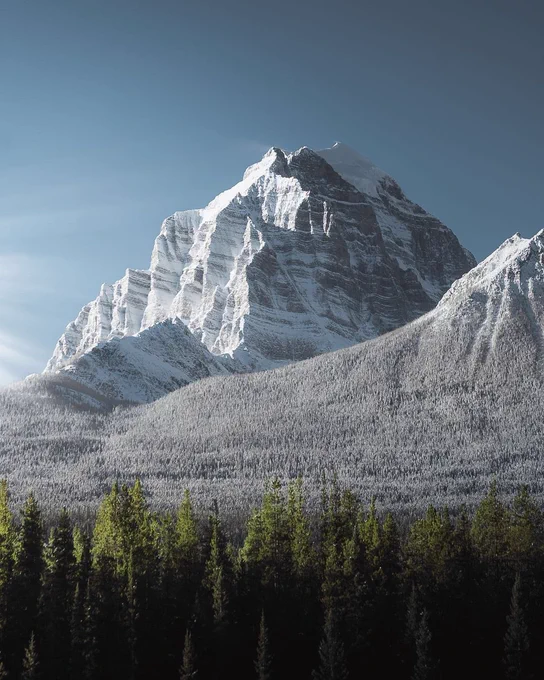 Photography by andy_nevs