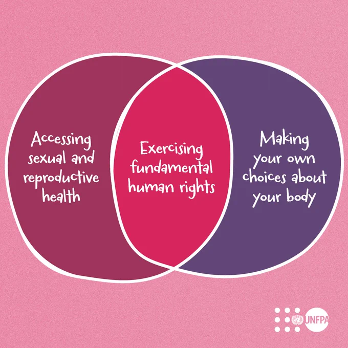 A Venn diagram with three overlapping circles on a pink background, depicting key focus areas of UNFPA. The left circle reads "Accessing sexual and reproductive health," the right circle says "Making your own choices about your body," and the center overlap states "Exercising fundamental human rights.