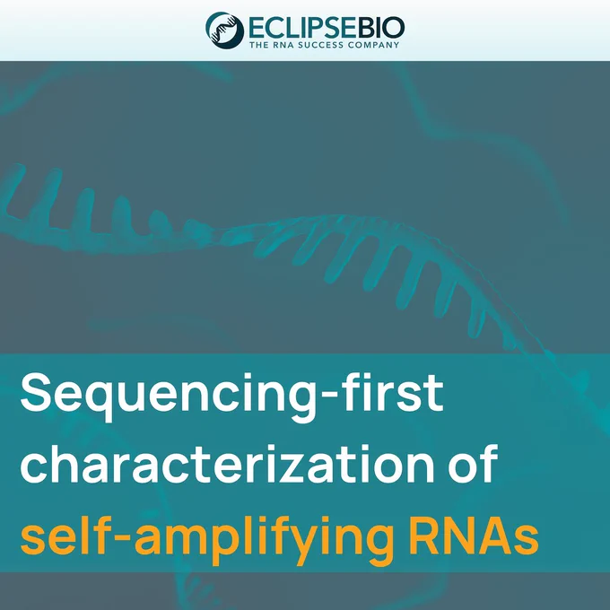 Sequencing-first characterization of saRNAs