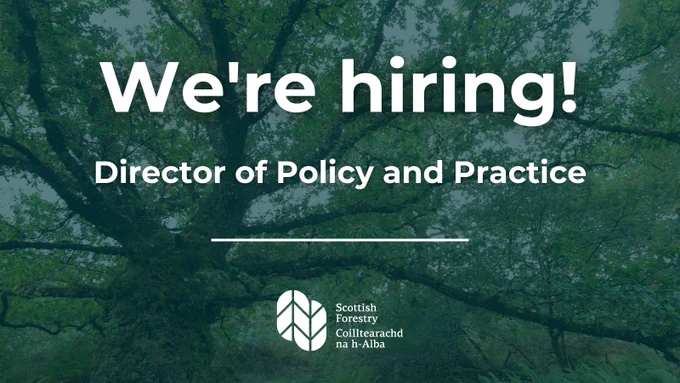 We're hiring! Director of Policy and Practice.